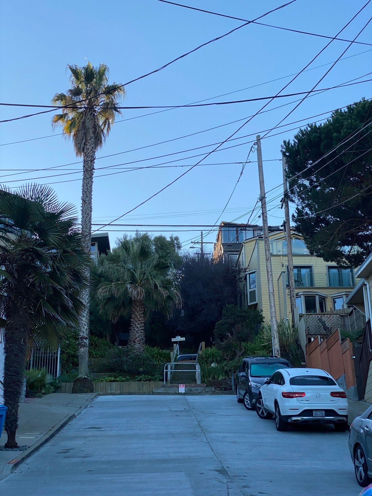 Morning Walk