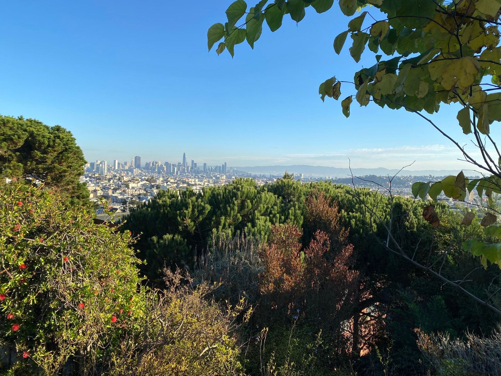 Morning Walk