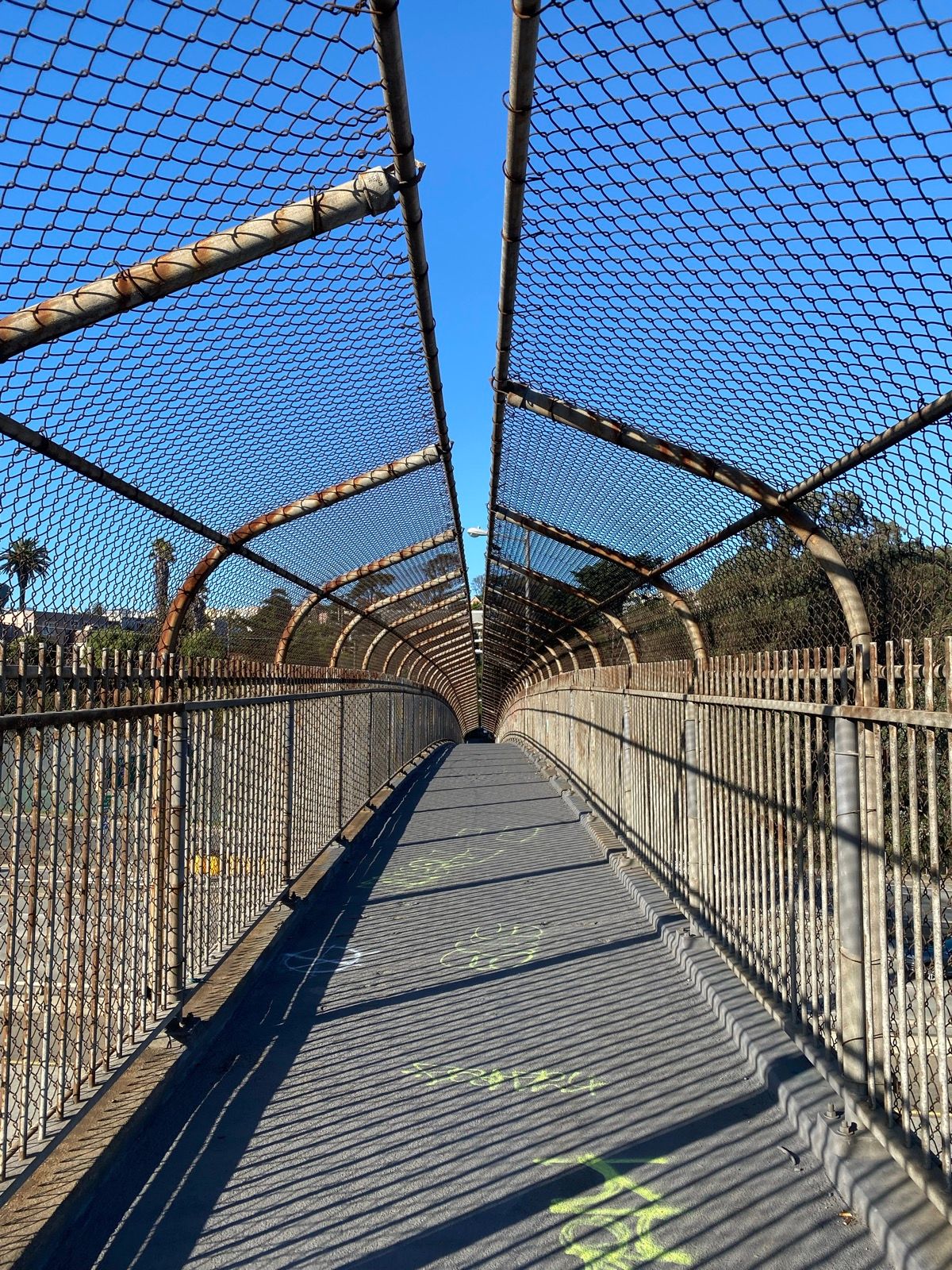 Afternoon Walk