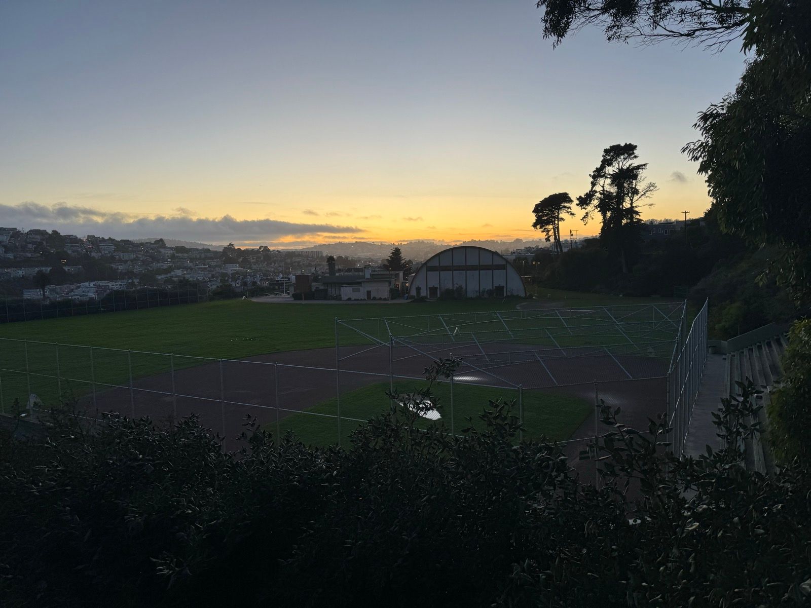Afternoon Walk