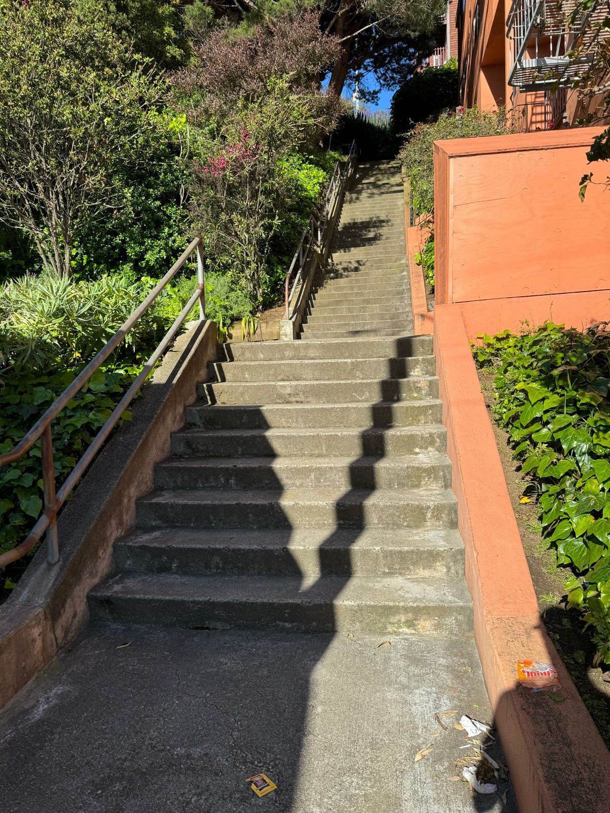 Morning Walk