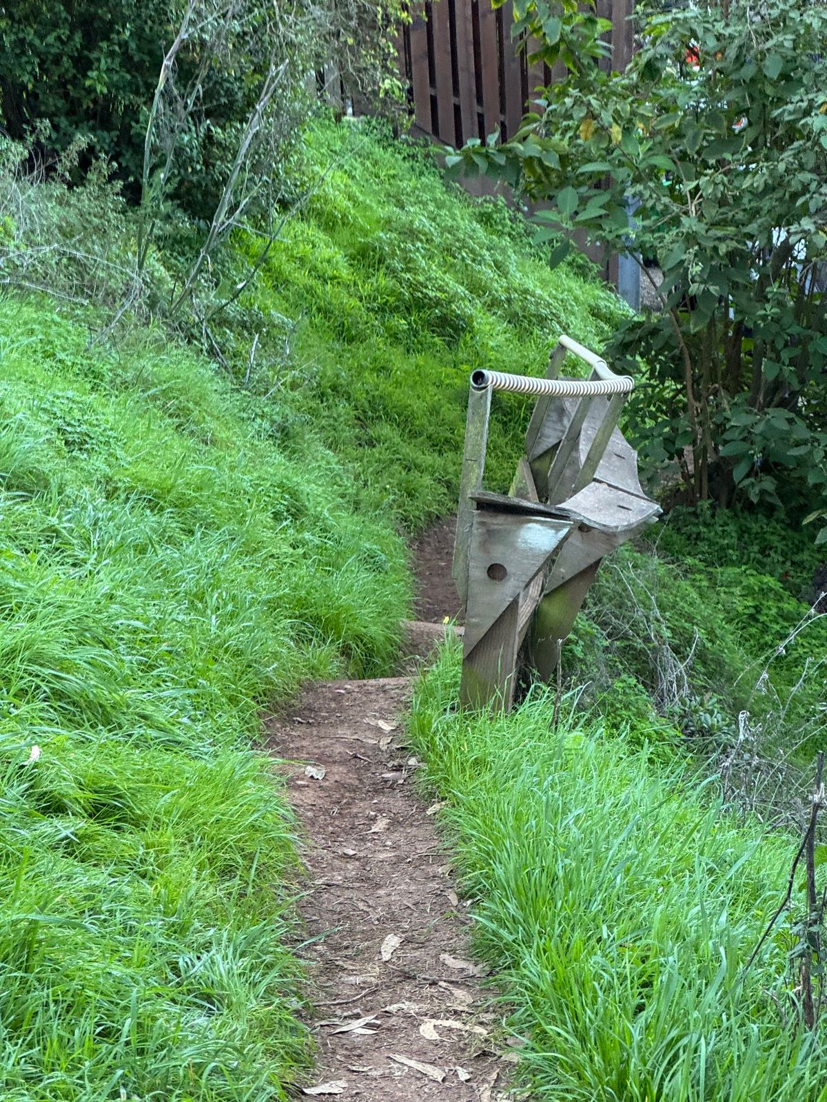 Morning Walk