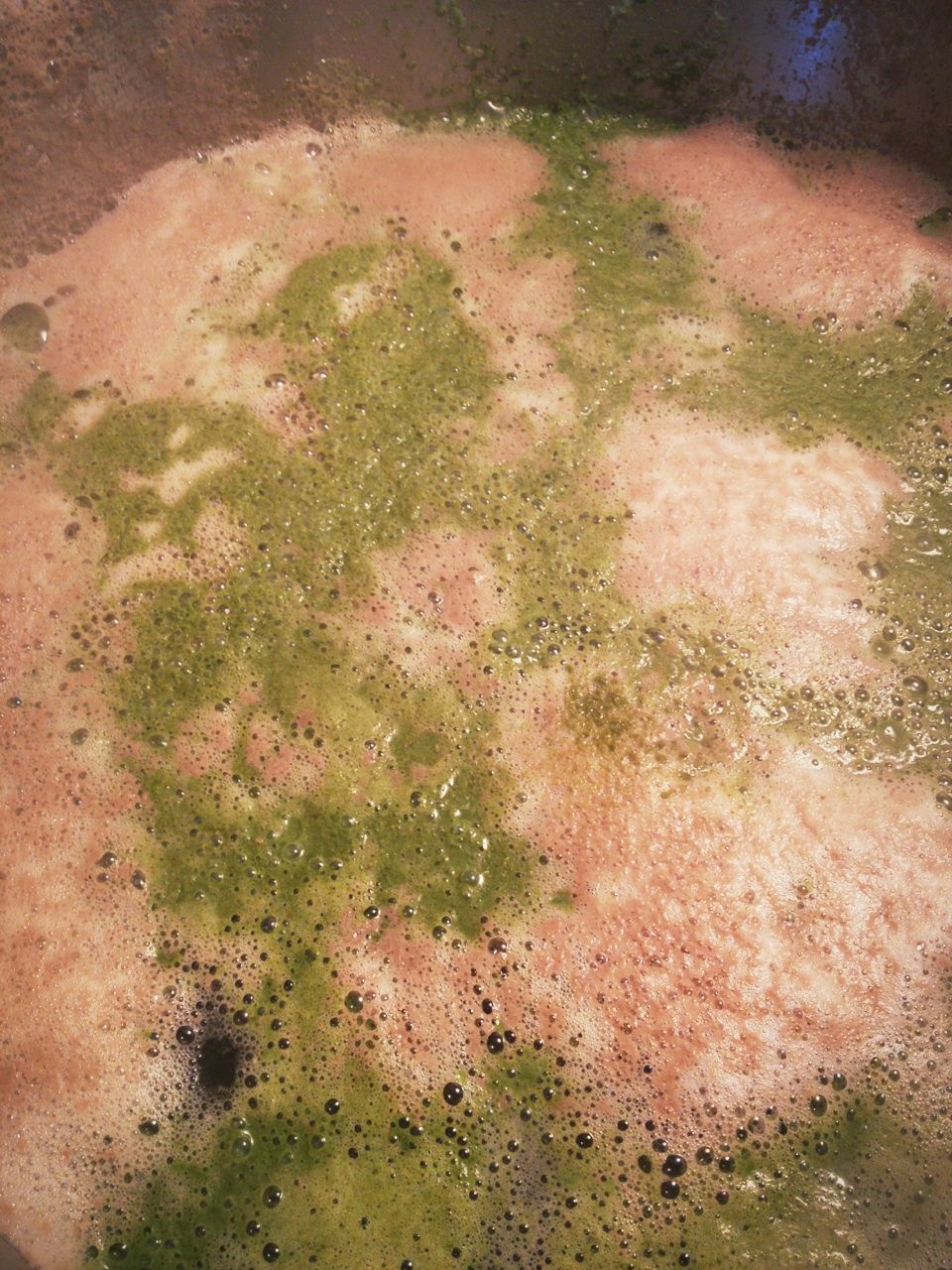 mirrored image from https://66.media.tumblr.com/tumblr_m4cb4vJKzI1qzoybuo1_1280.jpg without alt text, sorry
