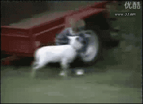 mirrored image from https://66.media.tumblr.com/44759a290ea706d55952dd4acfcb9e04/tumblr_mp4nf8v1gF1qdlh1io1_400.gif without alt text, sorry