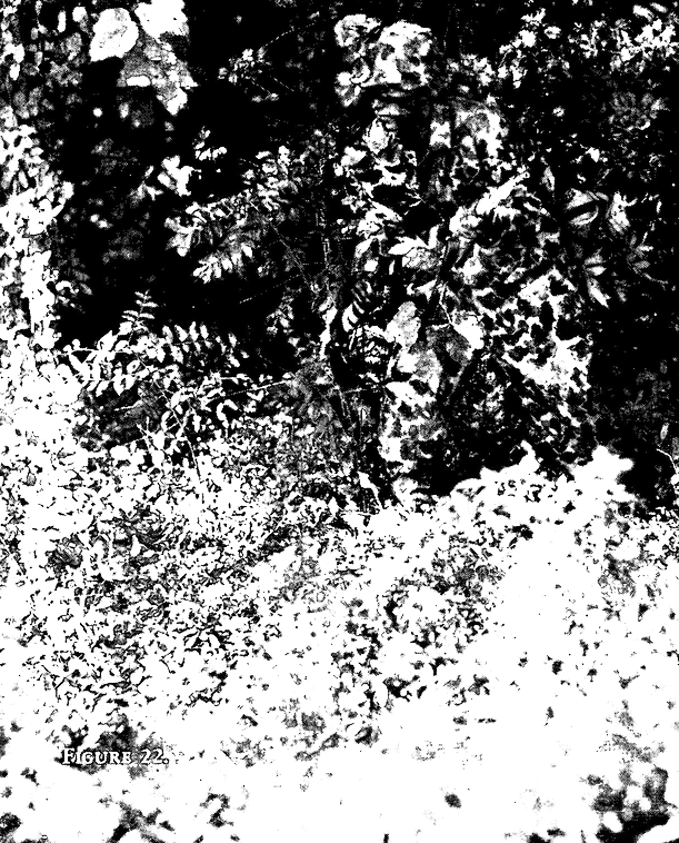 mirrored image from https://66.media.tumblr.com/0cd25e054b574e6d4bbfb6d9aa8e91a1/tumblr_n3puskJafo1txmiwfo1_640.png without alt text, sorry