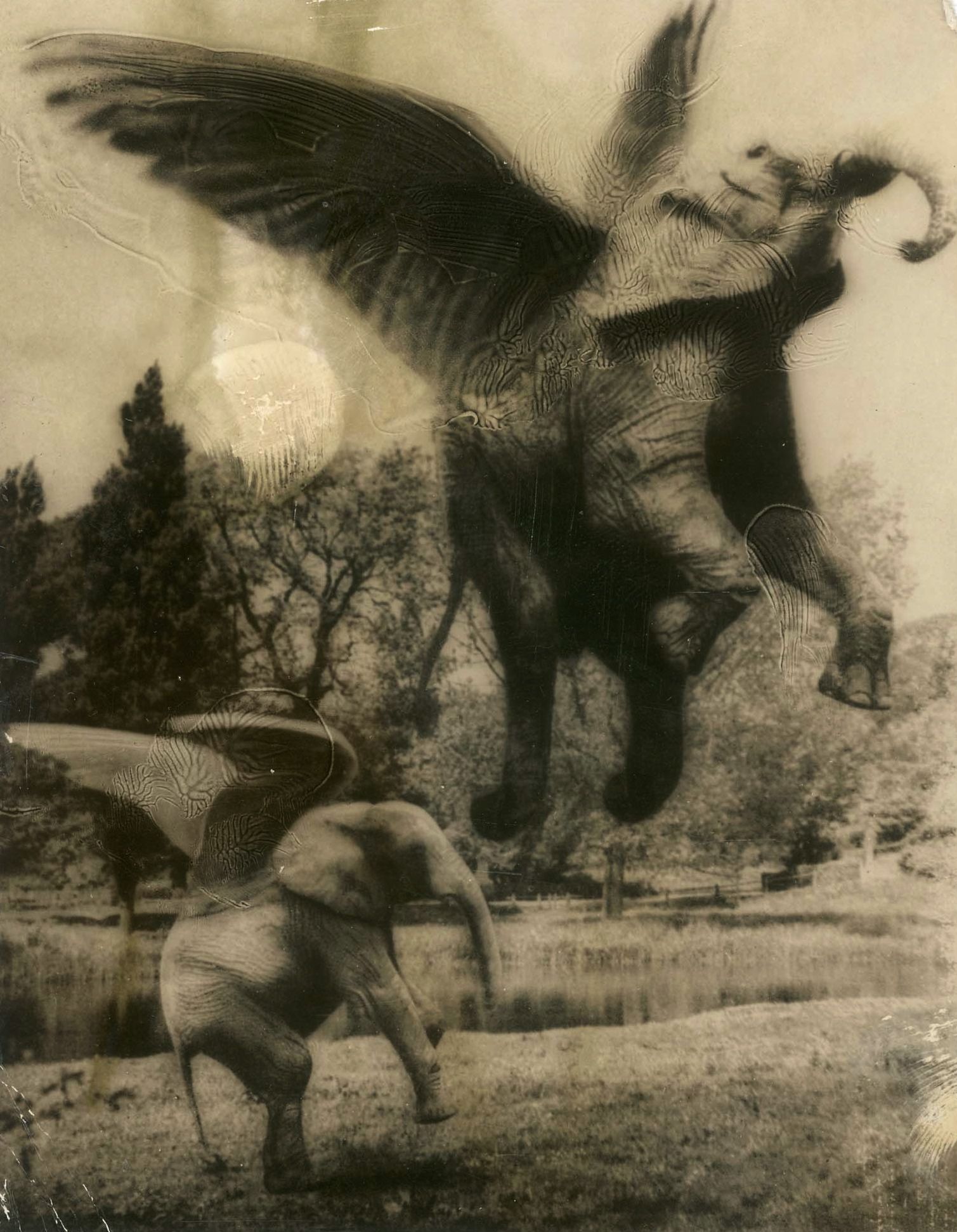 mirrored image from https://66.media.tumblr.com/1fe0f186f631305c89673df3c369f95e/tumblr_neaulaWbqA1rtynt1o1_1280.jpg without alt text, sorry
