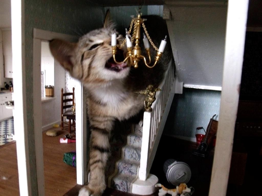 mirrored image from https://66.media.tumblr.com/8f6a845051e79b68935daee4923d52b2/tumblr_nlfefh90Xp1qz6f9yo1_1280.jpg without alt text, sorry