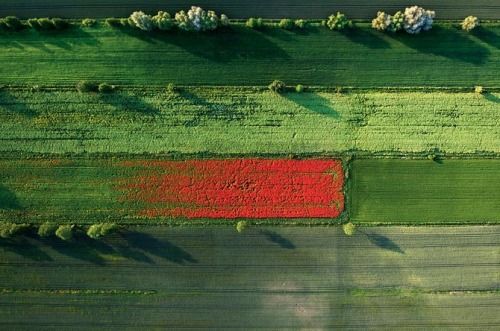 mirrored image from https://66.media.tumblr.com/bcbe7f55091398054e5443c251d94833/tumblr_nhcs6wphTV1qgykbzo1_500.jpg without alt text, sorry
