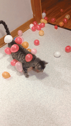 mirrored image from https://66.media.tumblr.com/a6338f64d1ba4bc16027ac7e7f35f969/tumblr_nm3crbJMAB1s02vreo1_400.gif without alt text, sorry