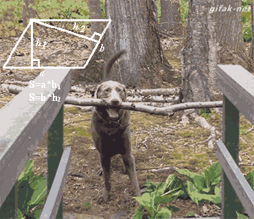 mirrored image from https://66.media.tumblr.com/0d5f4f4ece6f4d4bf6d40f555c2caa2a/tumblr_norf3cdeI11s2yegdo1_400.gif without alt text, sorry