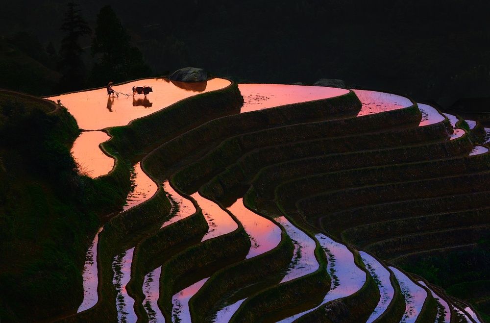 mirrored image from https://66.media.tumblr.com/7078fc5e568235b424e9871489a66a94/tumblr_ns4ik3FTYz1s5qhggo4_500.jpg without alt text, sorry