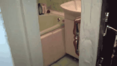 mirrored image from https://66.media.tumblr.com/c16e80982404c3a8e475722aaa18adbd/tumblr_ntmo1oLt3N1qa8o34o1_400.gif without alt text, sorry