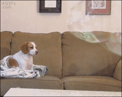 mirrored image from https://66.media.tumblr.com/4ec16531a4a796efbf65f32da36e20c3/tumblr_nvz46gWGNS1tlb56zo1_400.gif without alt text, sorry