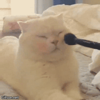mirrored image from https://66.media.tumblr.com/660a45a85453f379ddd22157924d12fd/tumblr_nw4sgomTsv1s0mbfho1_400.gif without alt text, sorry