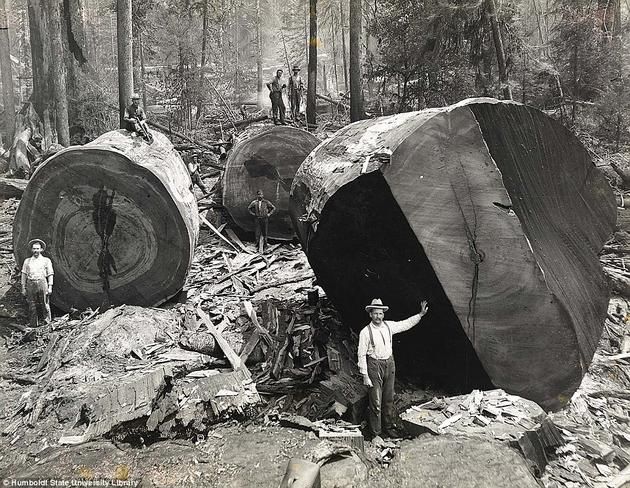 mirrored image from https://66.media.tumblr.com/db498e356f03400bd4b5707664fd30c1/tumblr_nwqn1kATTS1r0bqbdo1_640.jpg without alt text, sorry