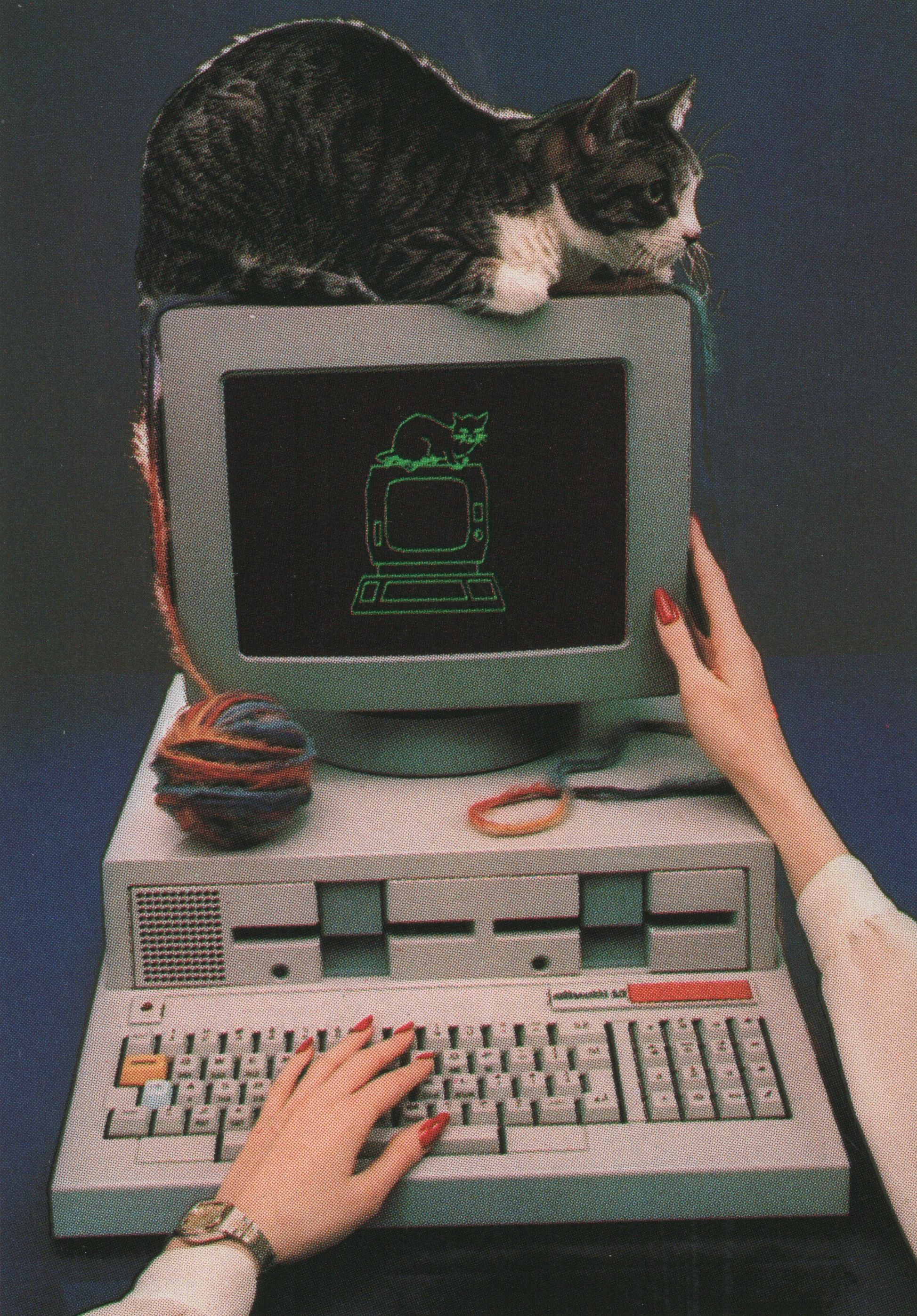 mirrored image from https://66.media.tumblr.com/27dfc7eeab2fc4ced02754a3959afa77/tumblr_nyb8bmwWUf1qa4gsro1_1280.jpg without alt text, sorry