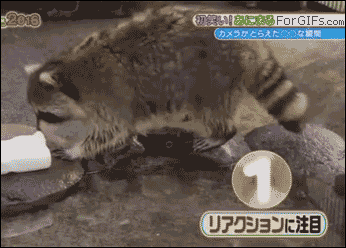 mirrored image from https://66.media.tumblr.com/de023a9a625fd90c4c219f0eeedbb7a9/tumblr_o0gfplmLWu1tlb56zo1_400.gif without alt text, sorry