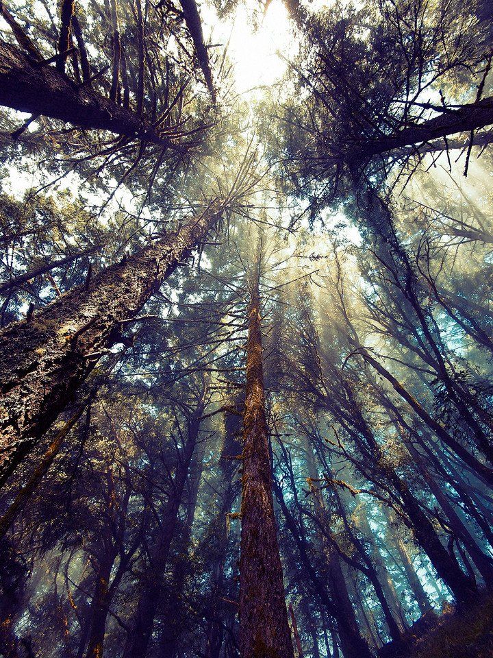 mirrored image from https://66.media.tumblr.com/7a3a2c19853bd2c329ac8e83534cb08b/tumblr_o15xi7jgzC1qz6f9yo1_500.jpg without alt text, sorry