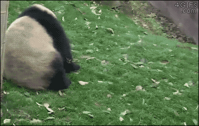 mirrored image from https://66.media.tumblr.com/b4cabe9b6435d2bc4ee803e7519d2988/tumblr_o2tl16vitD1tlb56zo1_400.gif without alt text, sorry