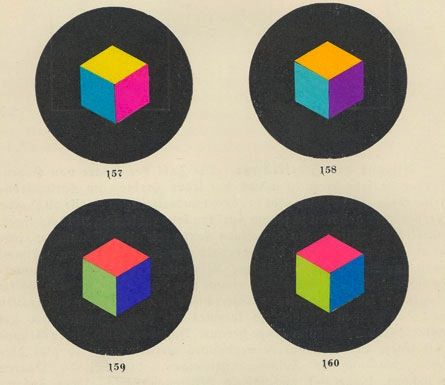 mirrored image from https://66.media.tumblr.com/ea8234c53395ebc9598d1e67283a2c86/tumblr_o3bnhzCegc1rtynt1o1_r1_500.jpg without alt text, sorry