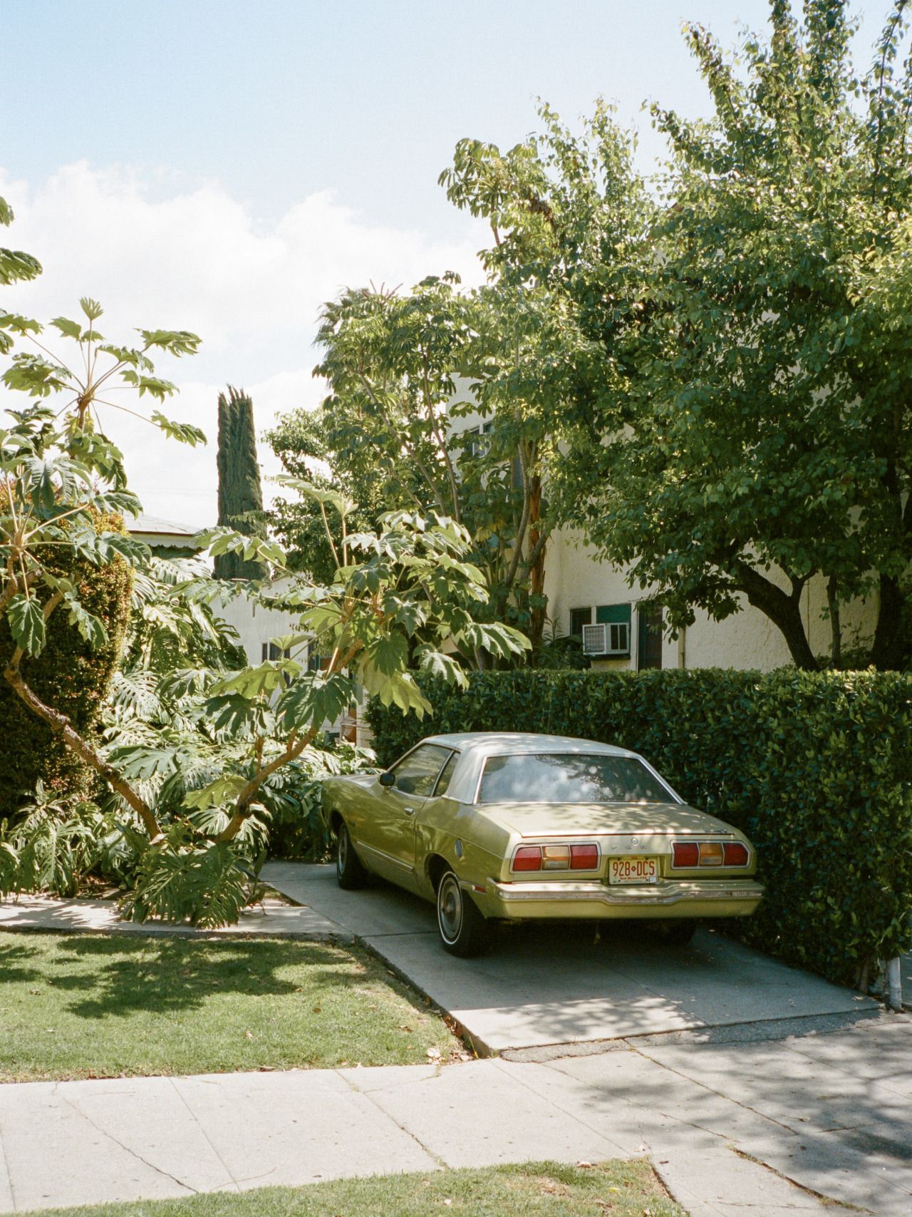 mirrored image from https://66.media.tumblr.com/182bcfbe178a488225d93e1d34e360f2/tumblr_o5po6zH1dm1qabu3po1_1280.jpg without alt text, sorry
