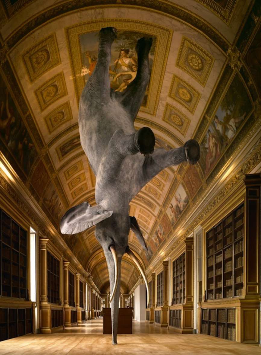 mirrored image from https://66.media.tumblr.com/85ef0bce90511fb3087f0d1cd2d1f88f/tumblr_octh4hSccZ1qfc4xho1_1280.jpg without alt text, sorry