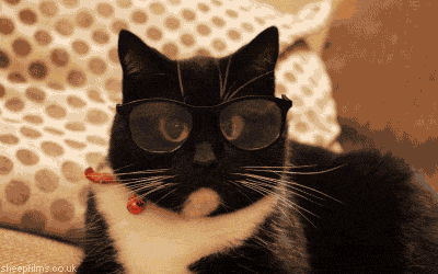 mirrored image from https://66.media.tumblr.com/2ef506ee37180982b2b177f39336d822/tumblr_o0pnpmDWoc1qhnszoo1_400.gif without alt text, sorry