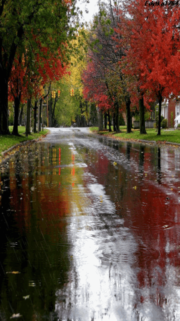 mirrored image from https://66.media.tumblr.com/e5ca21c999891cce58e19b62ee2f2813/tumblr_odgi6jEjCz1tfbxx5o1_500.gif without alt text, sorry