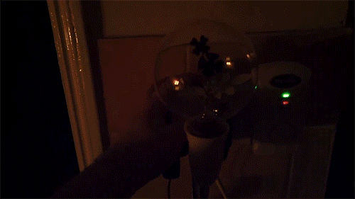 mirrored image from https://66.media.tumblr.com/8052acee5b3ab752d68a3ef3ac509116/tumblr_ohrthspC3l1rte5gyo6_500.gif without alt text, sorry