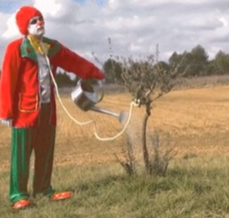 mirrored image from https://66.media.tumblr.com/b0fd00c877bbd476da4eefc1c4acca48/tumblr_ohbnccsB8p1vah69to1_1280.jpg without alt text, sorry