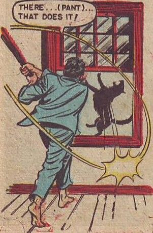 mirrored image from https://66.media.tumblr.com/79ea5fd130ee3c4d9604c19abfa68b7c/tumblr_oiujc9kPOu1s9pa24o1_400.jpg without alt text, sorry