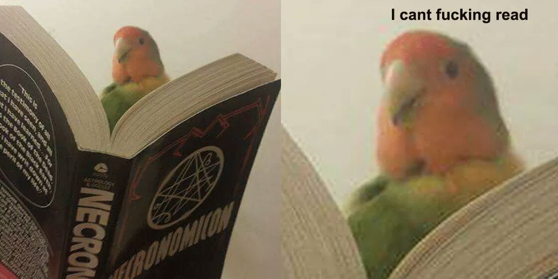 mirrored image from https://66.media.tumblr.com/ac505e6d914f8db15b0783f6d7f4c9cd/tumblr_ohk0p39Feh1vl7dd2o1_1280.jpg without alt text, sorry