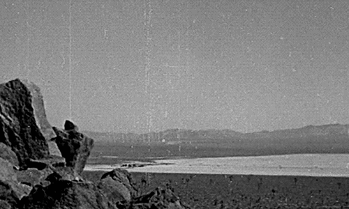 mirrored image from https://66.media.tumblr.com/f28ae68f22c132aeae21c7d1b12f48a2/tumblr_okz26nhW8h1vatewco1_500.gif without alt text, sorry