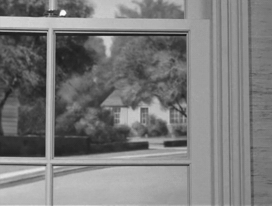 mirrored image from https://66.media.tumblr.com/68fb8b40978e454199bc5c5b0e68a80a/tumblr_oy4ot1uUpQ1qzk2apo1_540.gif without alt text, sorry