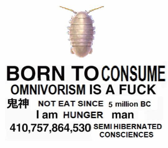 mirrored image from https://66.media.tumblr.com/0165933a2cf23c59d7dc3278bcc3ab55/tumblr_oyncbbqfD81vkgmnko1_540.jpg without alt text, sorry