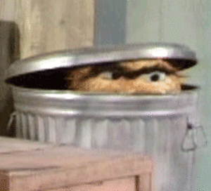 mirrored image from https://66.media.tumblr.com/cf7338be959524e5ae2504dde52640ac/tumblr_ozbph5OzQ21vdjzcxo1_400.gif without alt text, sorry