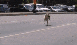 mirrored image from https://66.media.tumblr.com/d51a2ade2f5d7267ce15f2207850974c/tumblr_ozjh1bdMtC1s7km96o1_400.gif without alt text, sorry