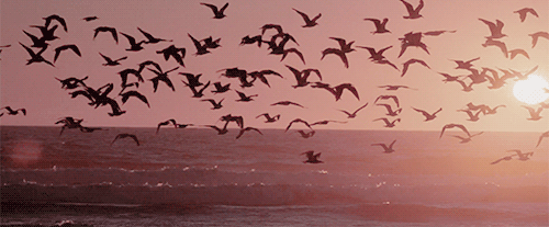 mirrored image from https://66.media.tumblr.com/d667d6e06870d52a749dfd2aef2a7537/tumblr_osqxigdr7p1wsphtyo1_500.gif without alt text, sorry