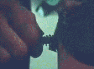 mirrored image from https://66.media.tumblr.com/c7e34de7b95e9d8e65615f2ecb4abeda/tumblr_ou68wswRy01v9fn1io1_400.gif without alt text, sorry