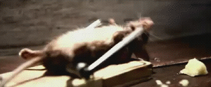 mirrored image from https://66.media.tumblr.com/56ef39e3e88e1e59268b6ee5c0ffb3f2/tumblr_o5v4i6HAxT1uqkuw9o1_400.gif without alt text, sorry