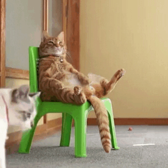 mirrored image from https://66.media.tumblr.com/7574926cfc7ab32cbfe414c7fe3b5984/tumblr_o4txt8411s1qabe6do1_400.gif without alt text, sorry