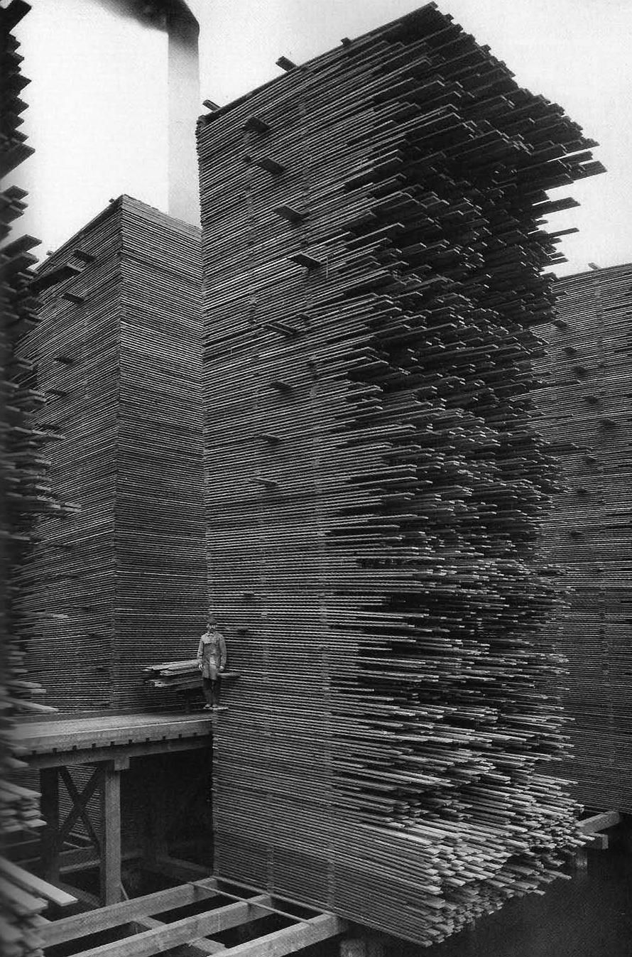 mirrored image from https://66.media.tumblr.com/78106c5e1a9604413056e30ad56e9f55/tumblr_o2gfkeanCd1s7e5k5o1_1280.jpg without alt text, sorry
