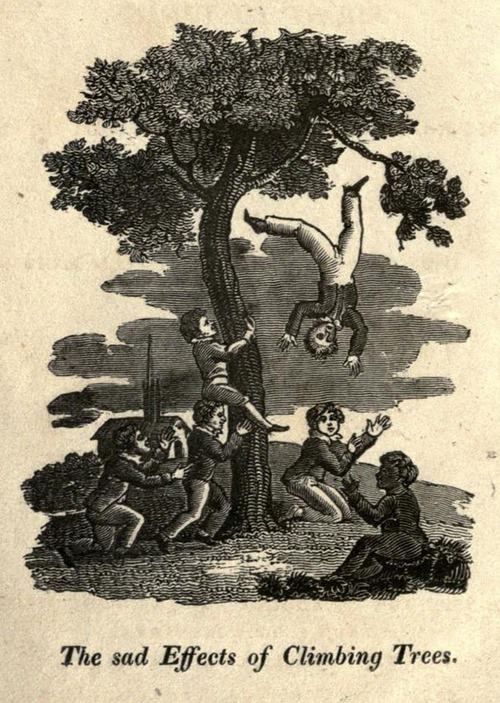 mirrored image from https://66.media.tumblr.com/b07bb195b47e698bebc1d91b6c2b9cf9/tumblr_n98ad9G3c81qgaclmo1_500.jpg without alt text, sorry