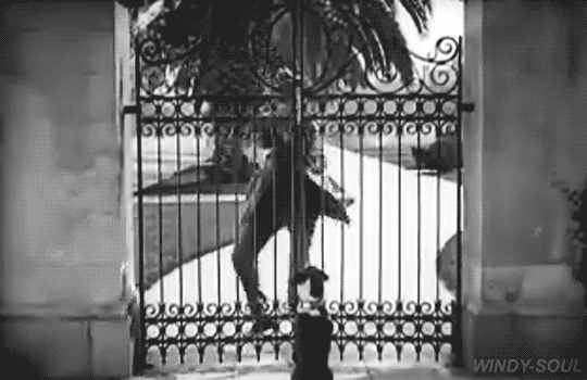 mirrored image from https://66.media.tumblr.com/cf6c65e3a700ba702dbbe3f9550e10b3/tumblr_owjrusOwpM1qfrhhpo1_540.gif without alt text, sorry