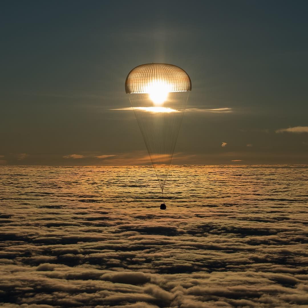mirrored image from https://66.media.tumblr.com/0b83f62b0c2714eacacae4b404d6781c/tumblr_p4v9p0PypT1s1mt5yo1_1280.jpg without alt text, sorry