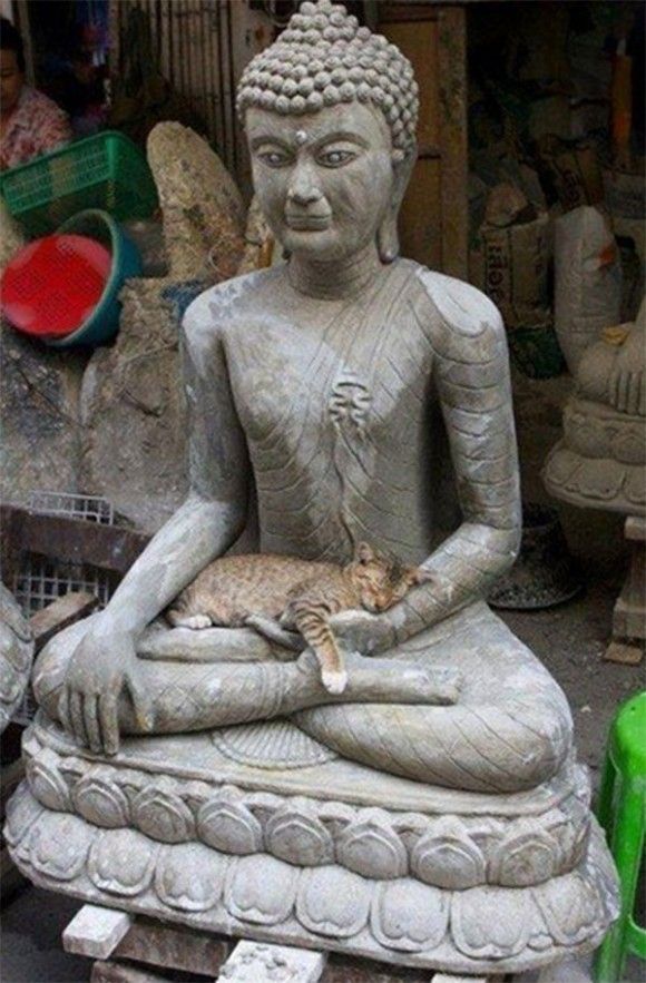 mirrored image from https://66.media.tumblr.com/14eb54991b22a78d6a1750132e59606d/tumblr_nn1wn0w2sY1qdpk1io3_500.jpg without alt text, sorry