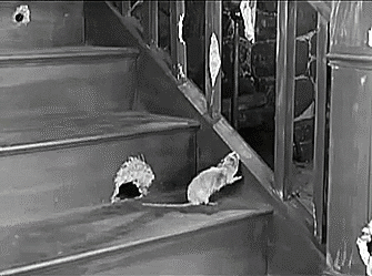 mirrored image from https://66.media.tumblr.com/f21b75589694e2c4c6a381969afe354f/tumblr_p4wtwgflQG1sn8m9wo1_400.gif without alt text, sorry