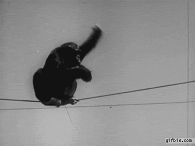 mirrored image from https://66.media.tumblr.com/f2b4176896a09e742149dc0e5c5632a7/tumblr_p5c6fpzd7W1sr14ndo1_400.gif without alt text, sorry