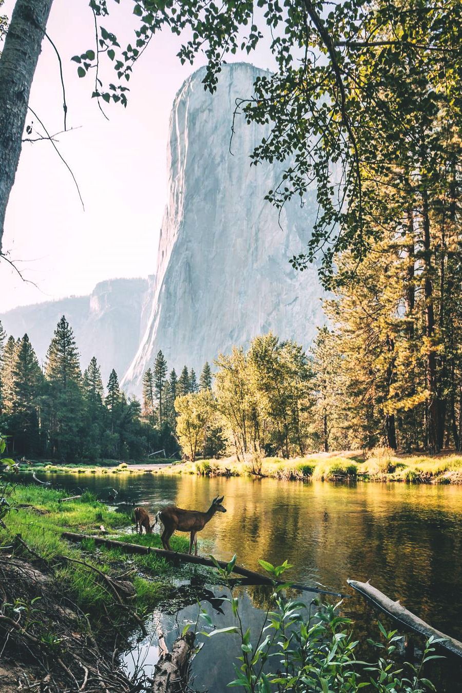 mirrored image from https://66.media.tumblr.com/de3edf0bcae6ff9af74b2d5917113287/tumblr_ovxplverDc1u8wonlo1_1280.jpg without alt text, sorry