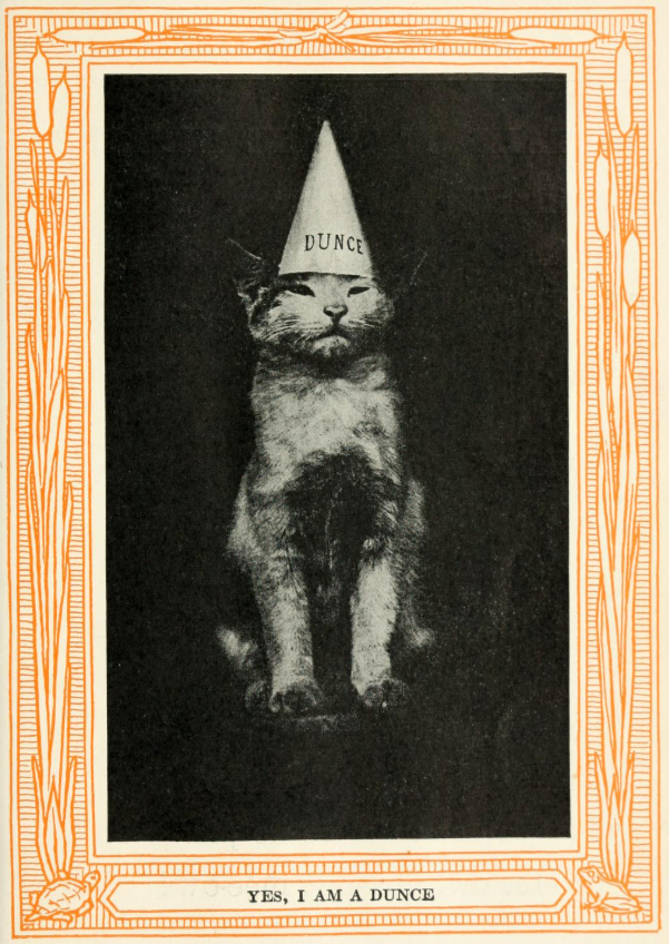 mirrored image from https://66.media.tumblr.com/6b59e2ee47fcd1e9f9ab52dfe8b695b0/tumblr_p8ur2rV4me1tcqhjho1_640.png without alt text, sorry